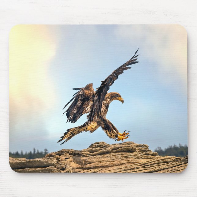 Tapis De Souris Atterrissage de l'aigle à tête blanche au Canada (Devant)
