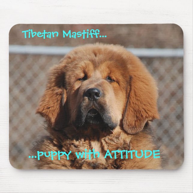 Tapis De Souris Attitude de mastiff tibétain (Devant)