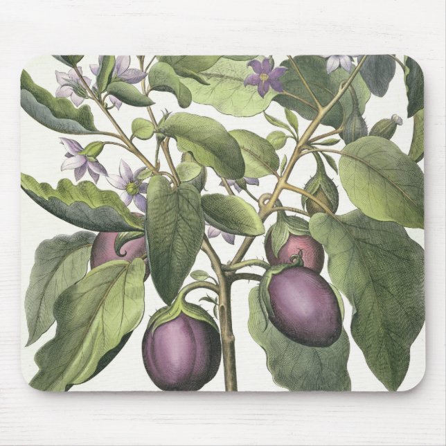 Tapis De Souris Aubergine : Pallido de fructu de Melanzana, du (Devant)