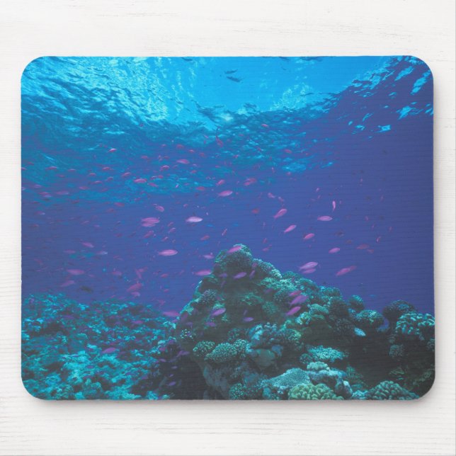Tapis De Souris Australie, Grande Barrière de corail. Tourbillonne (Devant)