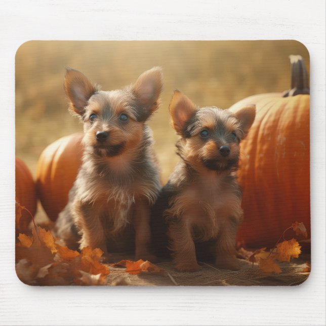 Tapis De Souris Australien Terrier Chiot Automne Citrouille de pla (Devant)