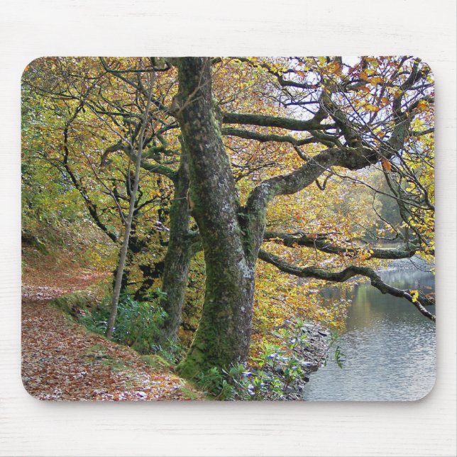 TAPIS DE SOURIS AUTOMNE (Devant)