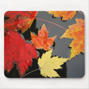 Tapis De Souris Automne Érable Feuilles couleurs étang rouge Mouse