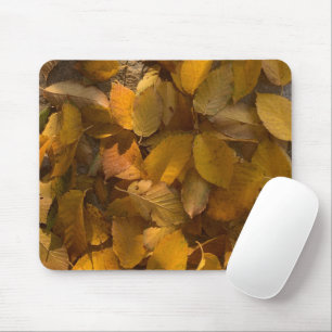 Tapis De Souris Automne glorieux sur une souris (1)