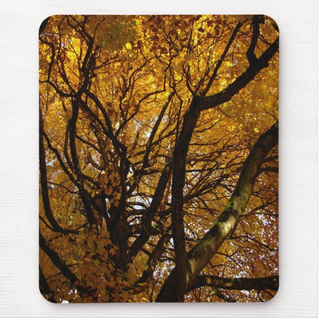 Tapis De Souris Automne Mousepad Beaux Cadeaux Paysages Automne (Devant)