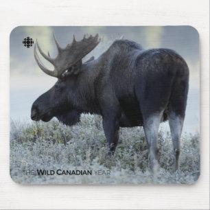 Tapis De Souris Automne - Oie