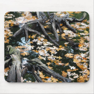 Tapis De Souris Automne Otter Pond Feuille