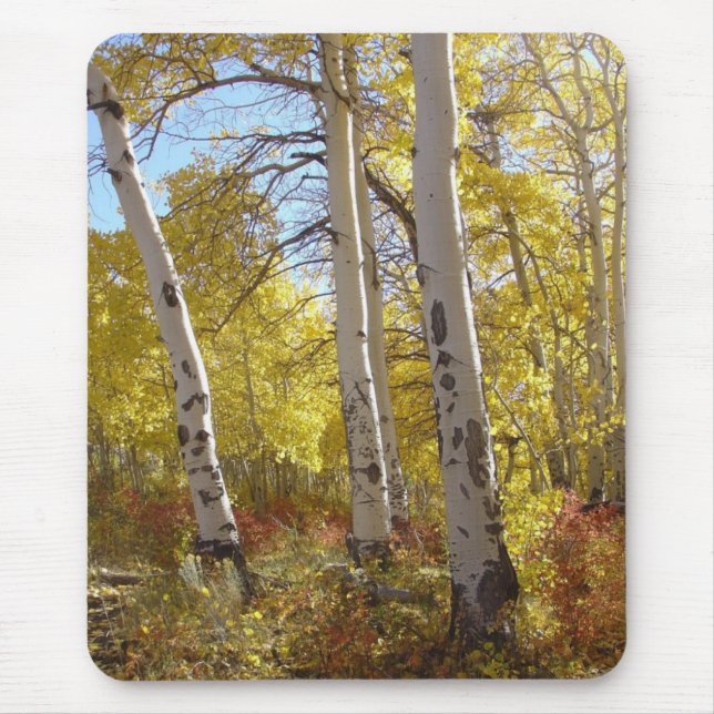 Tapis De Souris Autumn Aspen (Devant)