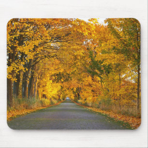 Tapis De Souris Autumn Avenue Trees Away Road