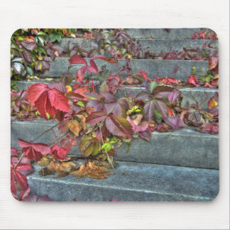 Tapis De Souris Autumn leaves mousepad