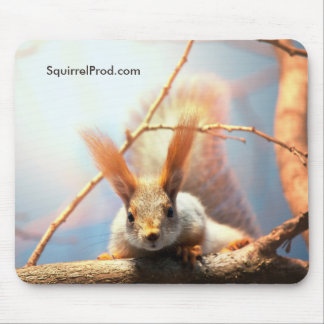 Tapis de souris avec l'écureuil