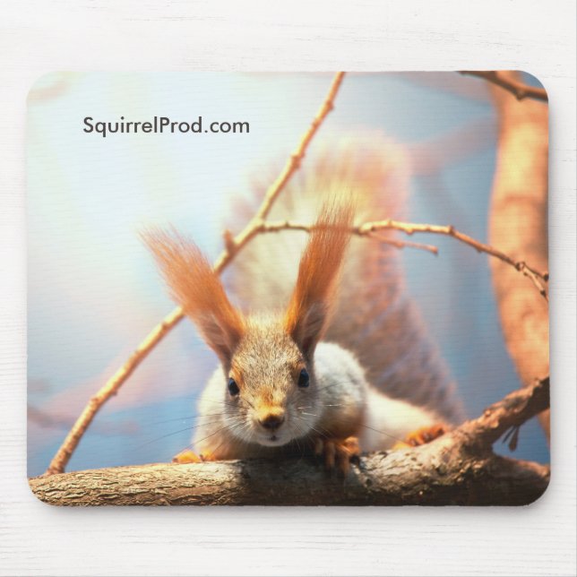Tapis de souris avec l'écureuil (Devant)