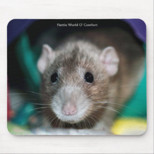 Tapis de souris avec un rat de fantaisie d'abruti
