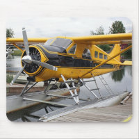 Avion de flotteur de castor, capot de lac, Alaska,