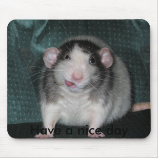 Tapis De Souris , Ayez un beau jour