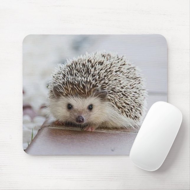 Tapis De Souris Baby hedgehog (Avec souris)