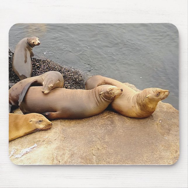 Tapis De Souris Baby Sea Lions (Devant)