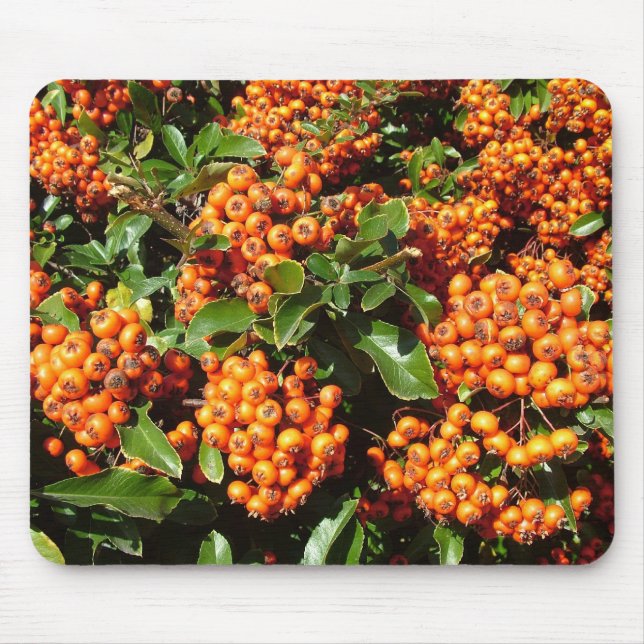 Tapis De Souris Baies Holly Orange (Devant)