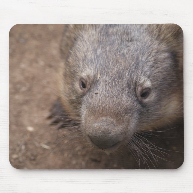 Tapis De Souris Baiser de wombat (Devant)