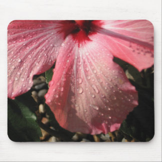 Tapis De Souris Baisses roses de l'eau de ketmie