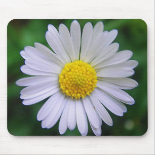 Tapis De Souris Baisson jaune-blanc clair