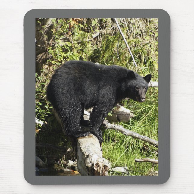 Tapis De Souris "Balance Act" Cadeaux de l'ours noir (Devant)
