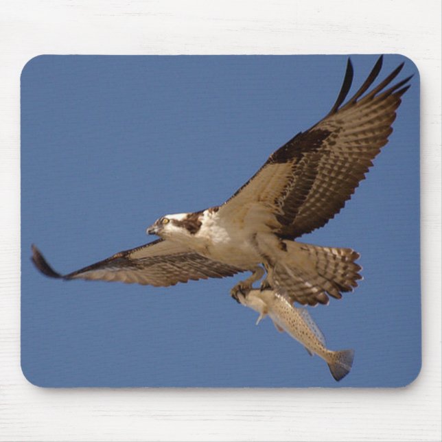 Tapis De Souris Balbuzard Fisher (Devant)