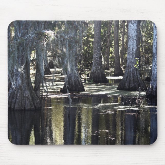 Tapis De Souris Bald Cypress (Devant)