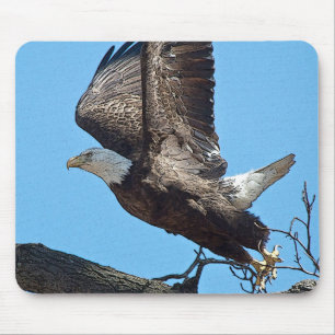 Tapis De Souris Bald Eagle décolle