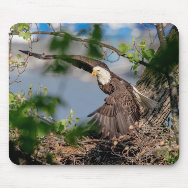 Tapis De Souris Bald Eagle quittant le nid (Devant)