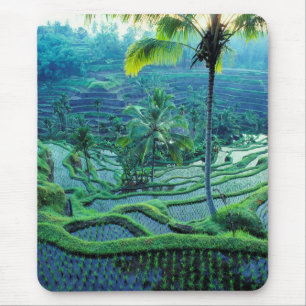 Tapis De Souris Bali   Vue d'ensemble des rizières