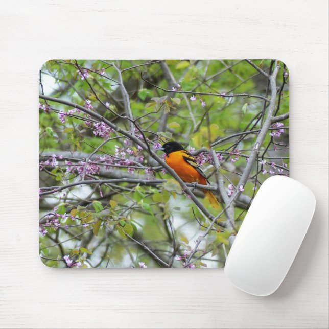Tapis De Souris Baltimore Oriole (Avec souris)