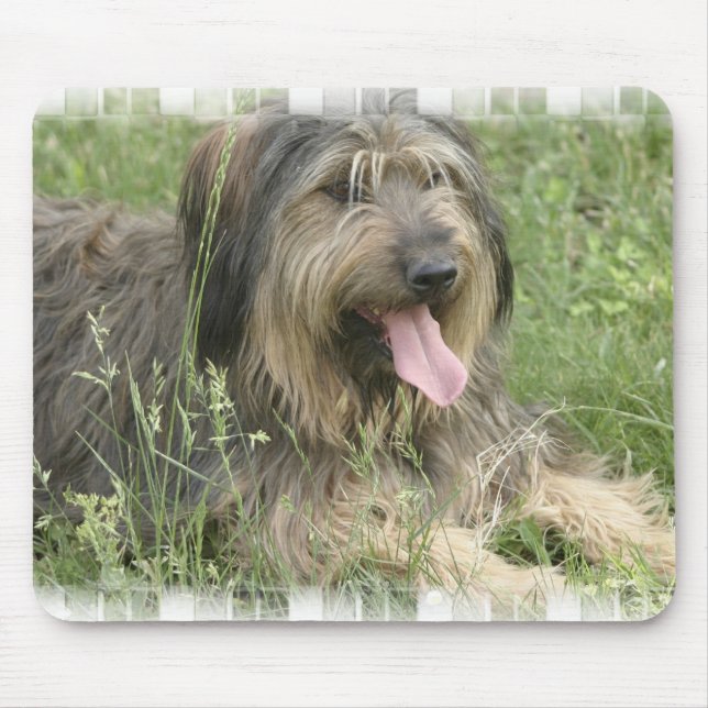 Tapis de souris barbu de colley (Devant)