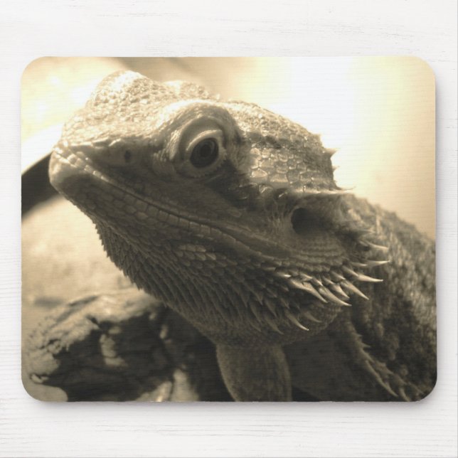Tapis de souris barbu de dragon (Devant)