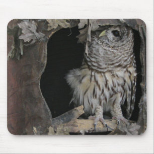 Tapis De Souris Barred Owl - Voici ce que vous regardez!