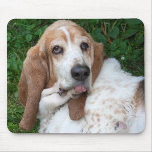 Tapis De Souris Basset âgé