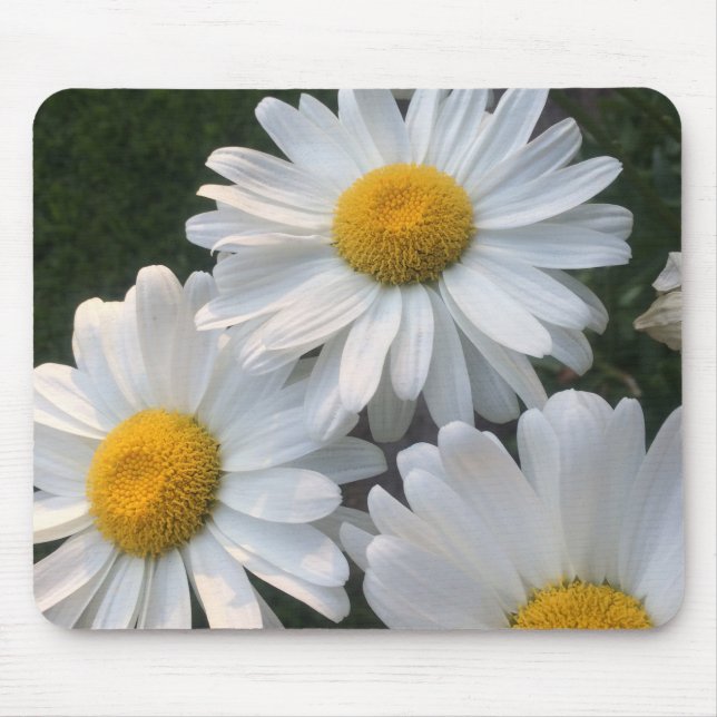 Tapis De Souris Bassins blancs (Devant)