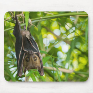 Tapis De Souris Batte