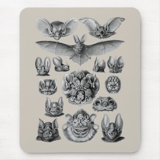 Tapis De Souris Battes (Devant)