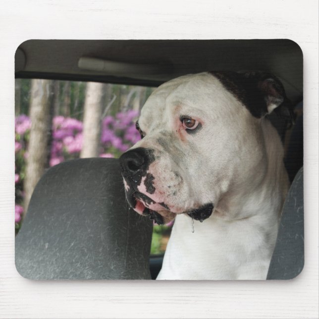 Tapis De Souris baver le Bulldog américain (Devant)