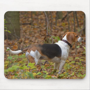 Tapis De Souris Beagle à Woods