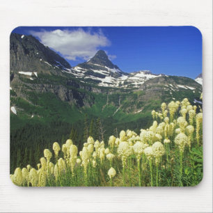 Tapis De Souris Beargrass au col Logan dans le parc national des G