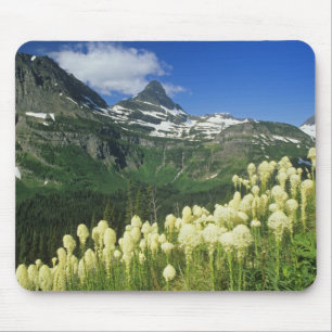 Tapis De Souris Beargrass près de Logan Pass dans le parc national