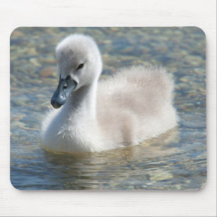 Tapis De Souris Beau Canard de cygne muet