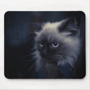 Tapis De Souris Beau chat