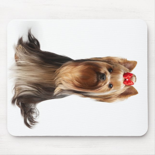 Tapis De Souris Beau chien adorable (Devant)