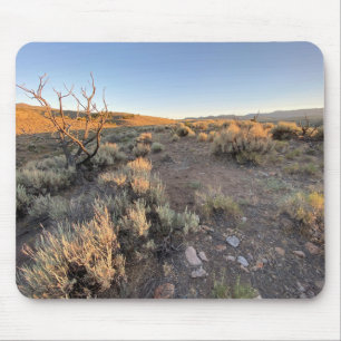 Tapis De Souris Beau désert du Nevada