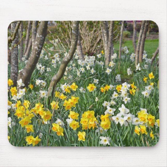 Tapis De Souris Beau jardin de jonquille de ressort (Devant)