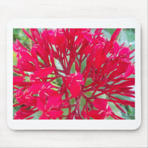 Tapis De Souris Beau Kaleidoscope de Milkweed rouge coloré