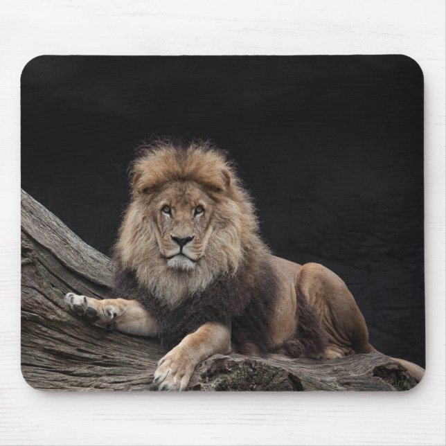 Tapis De Souris Beau Lion (Devant)
